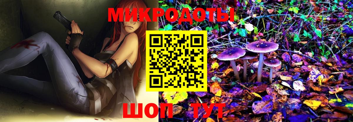 Ессентуки  Галлюциногенные грибы GOLDEN TEACHER  где можно купить   Вход с VPN 